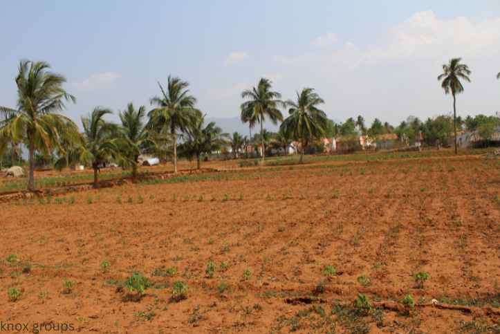 aggriculture-farm-land-sale